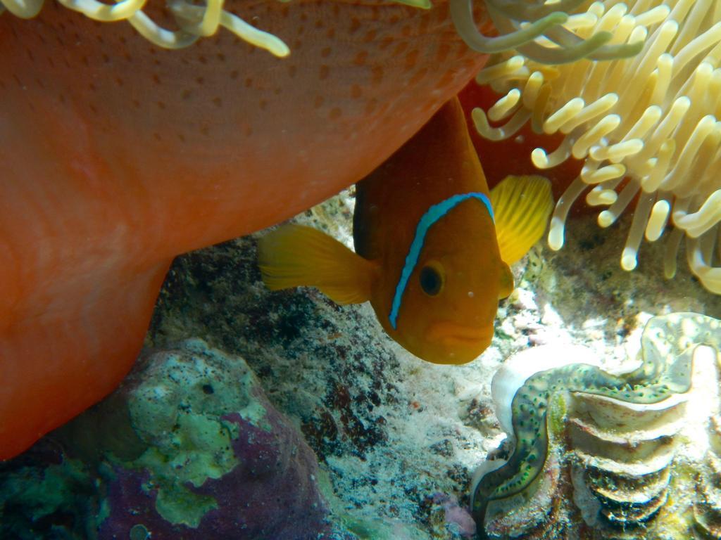 Hudhu Raakani Lodge Maldives Thinadhoo  Екстер'єр фото
