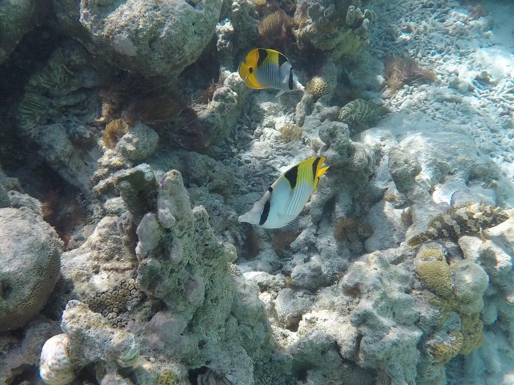 Hudhu Raakani Lodge Maldives Thinadhoo  Екстер'єр фото