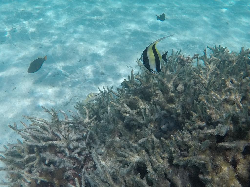 Hudhu Raakani Lodge Maldives Thinadhoo  Екстер'єр фото